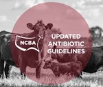 ncba-web-icon-updatedantibioticguidelines.jpg