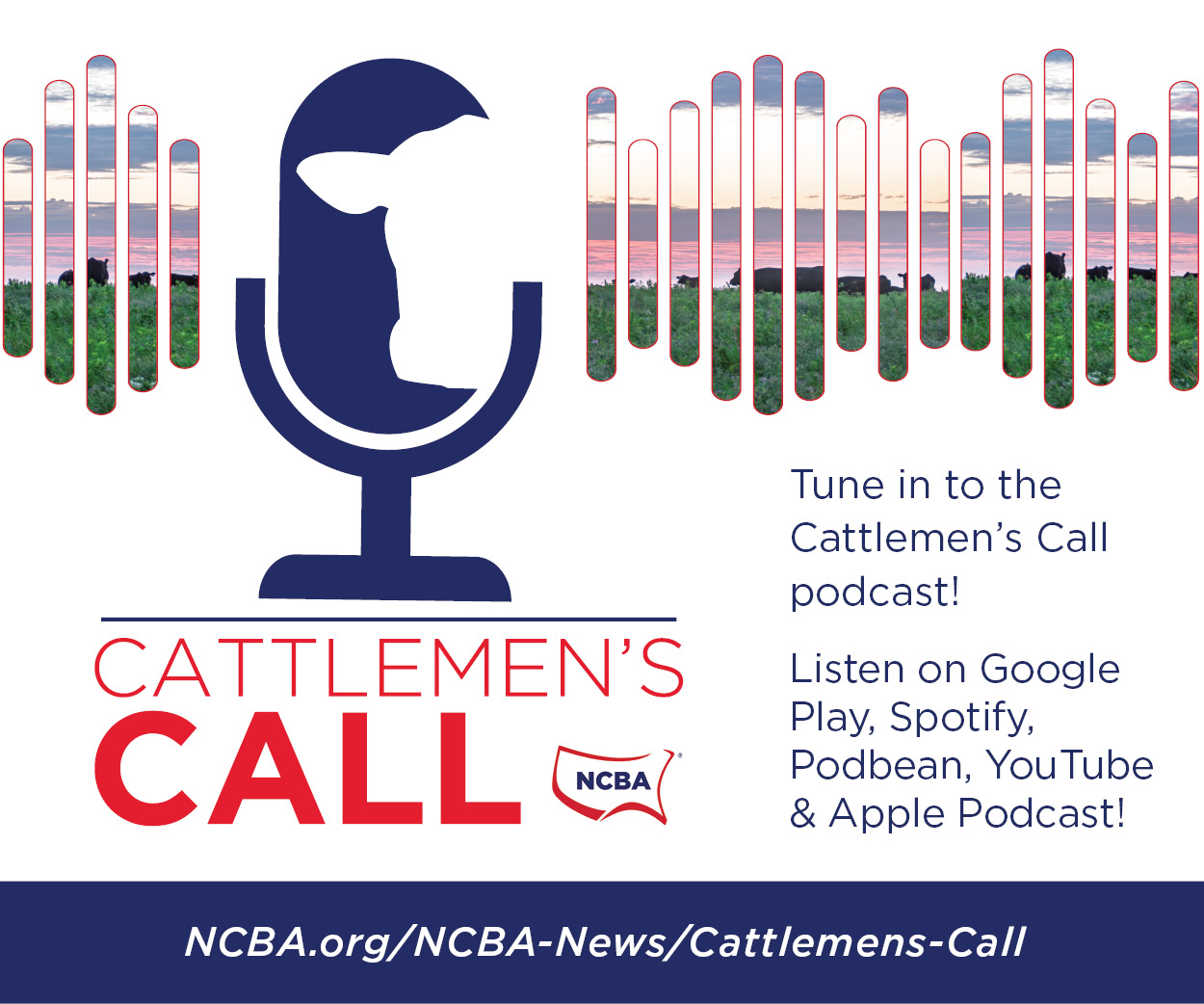01-17627-ncba call podcast digital ads - skyscraper2