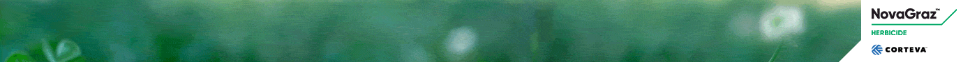 25-26312-nov-dg-digital-150-1380x90.gif