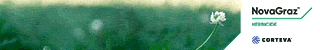25-26312-nov-sc-digital-150-320x50-v3.gif