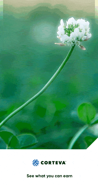 25-26312-nov-sc-paidsocial-150-320x600.gif