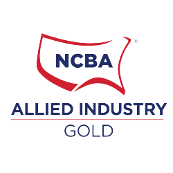 AIP Gold Logo