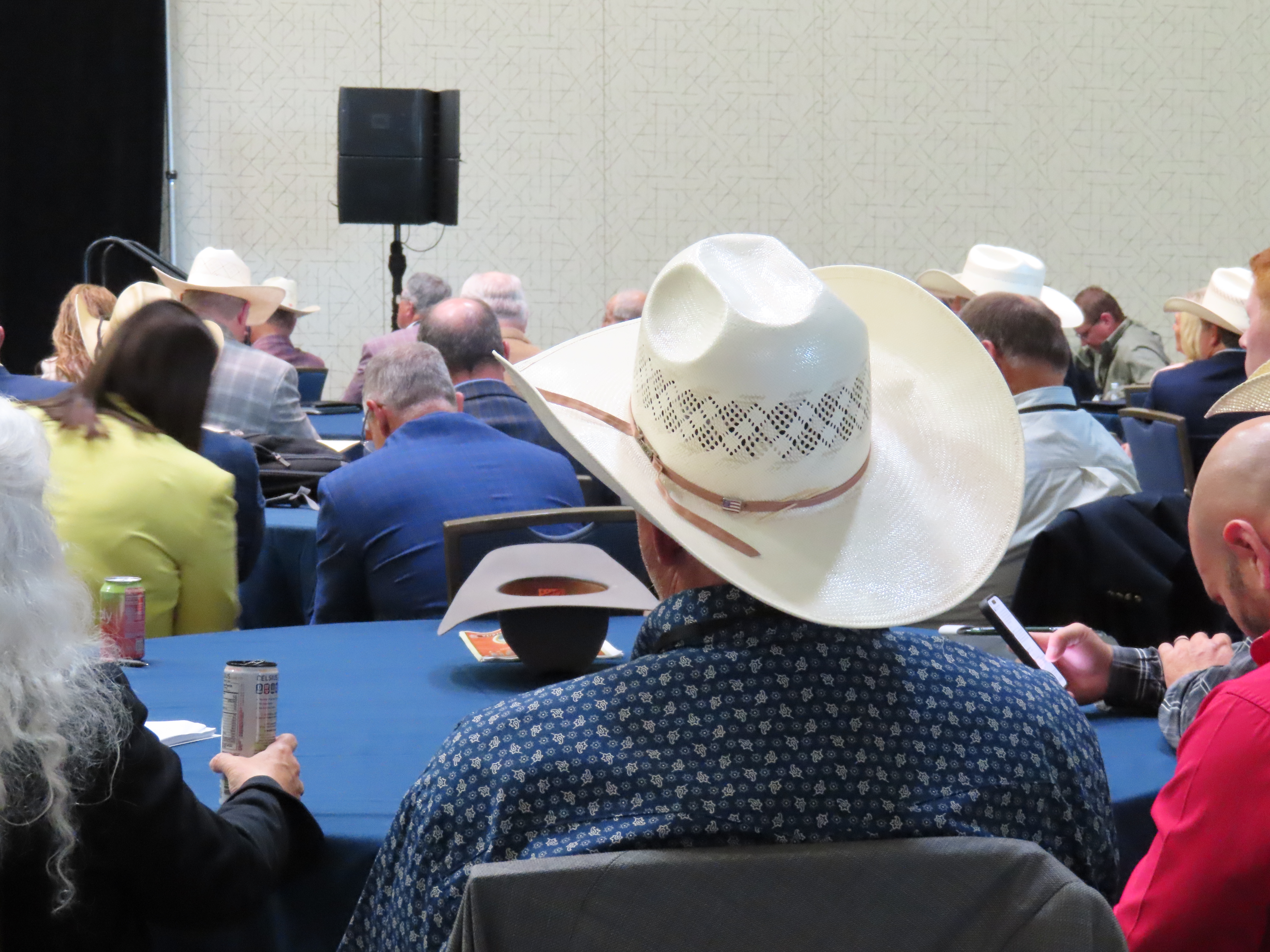 Positive Outlook for Cattle Business as Summer Business Meeting Concludes