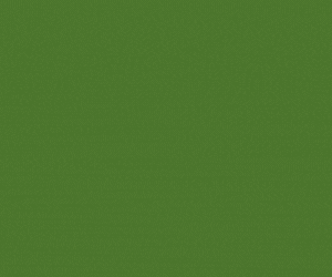 rp-38655-ncba-digital-dur-300-x-250-px.gif