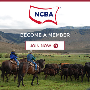 NCBA Join Now