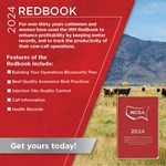 ad-redbooks-2024-02-tile.jpg