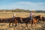Sustainability Cowgirl Leading Cowkid on Horseback Next to Cattle