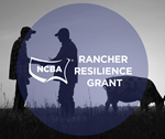 rancher-resilience-grant-2.png